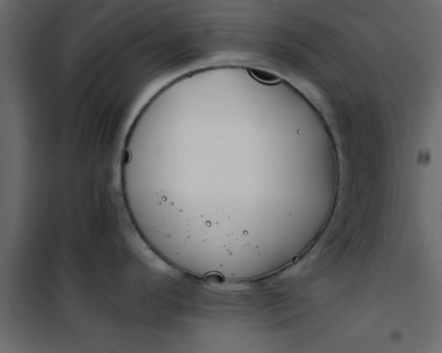 X0000101121296200807171951