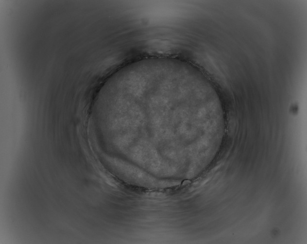 X0000101121297200807171950