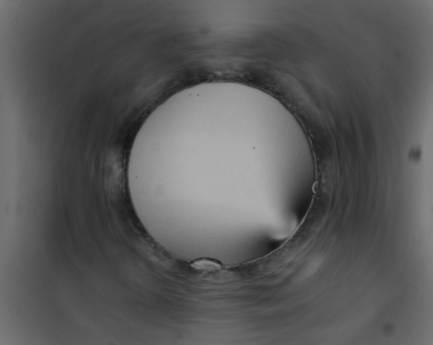 X0000101121298200807171950