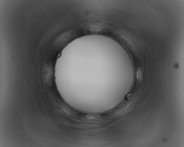 X0000101121299200807171950