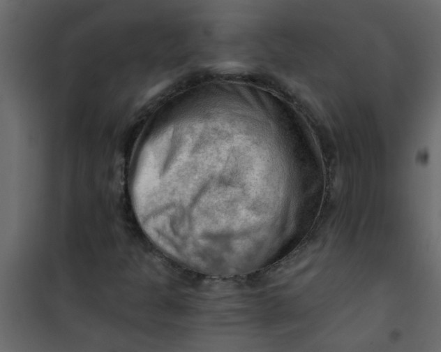 X0000101121301200807171950