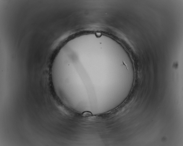 X0000101121304200807171950