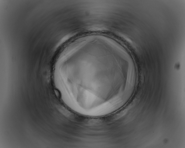 X0000101121306200807171950