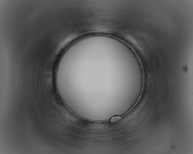 X0000101121307200807171950