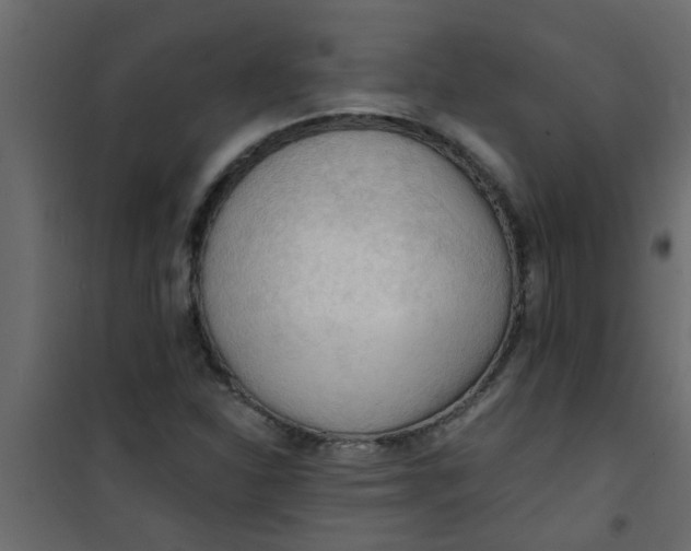 X0000101121310200807171950
