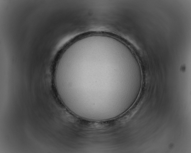 X0000101121311200807171950