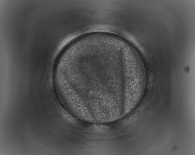 X0000101121312200807171950