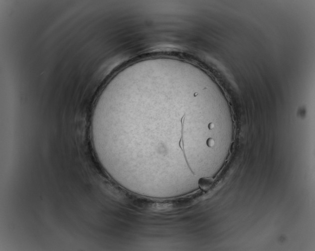 X0000101121313200807171950
