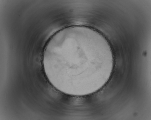 X0000101121314200807171950