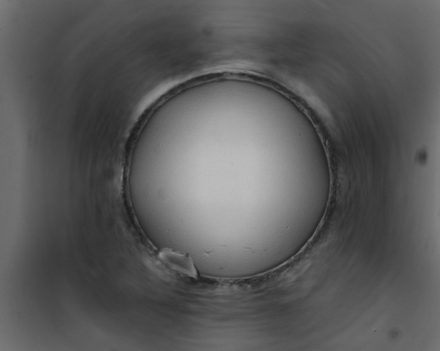 X0000101121316200807171950