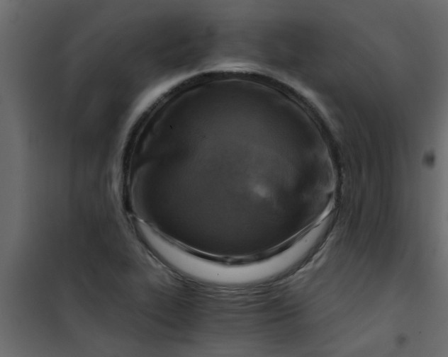X0000101121319200807171950