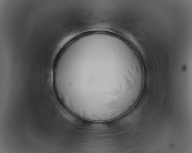 X0000101121320200807171950