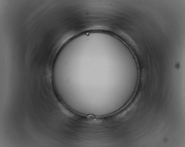 X0000101121321200807171950