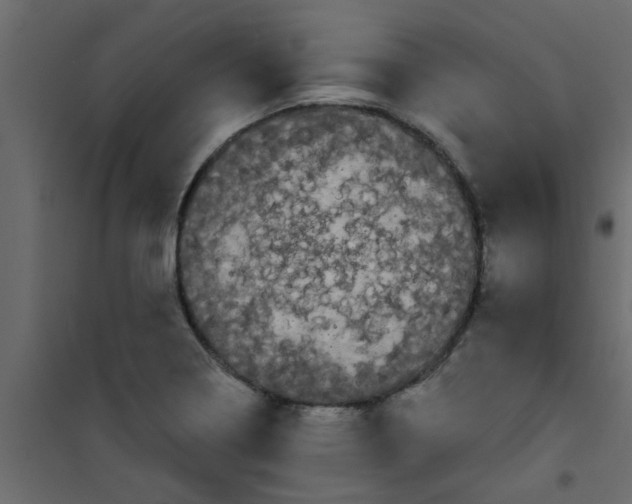 X0000101121322200807171950