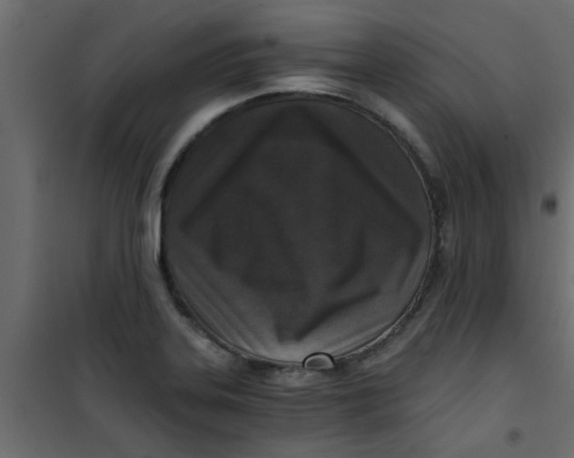 X0000101121323200807171950