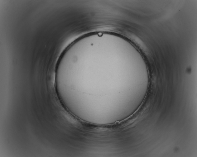 X0000101121324200807171950