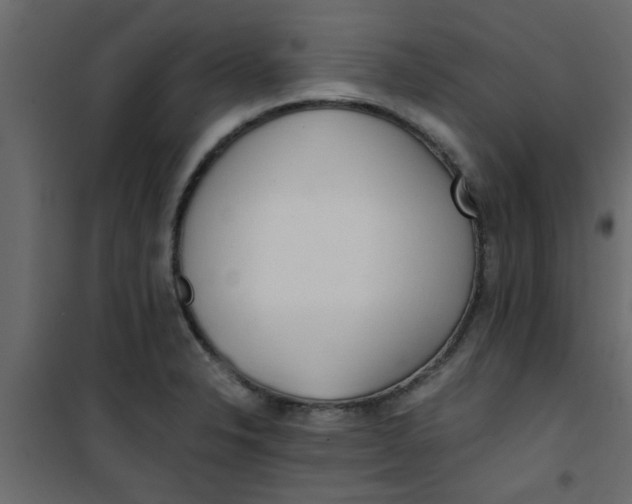 X0000101121326200807171950