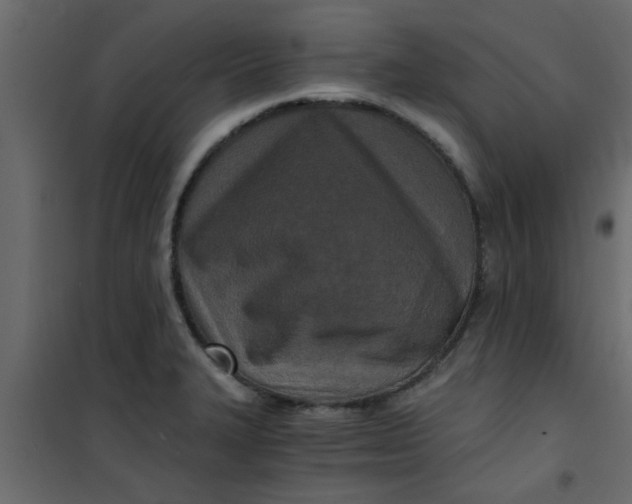 X0000101121327200807171950
