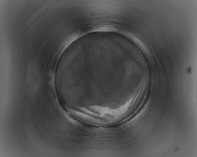 X0000101121329200807171951