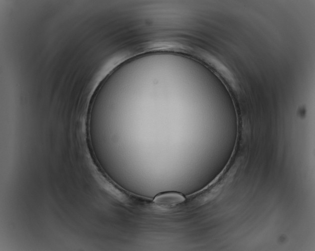 X0000101121330200807171951