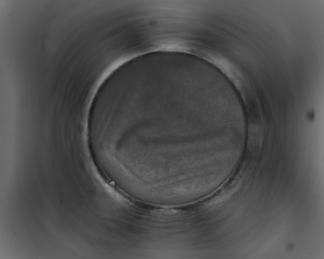 X0000101121331200807171951