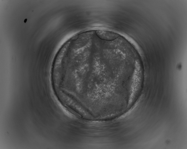 X0000101121333200807171951