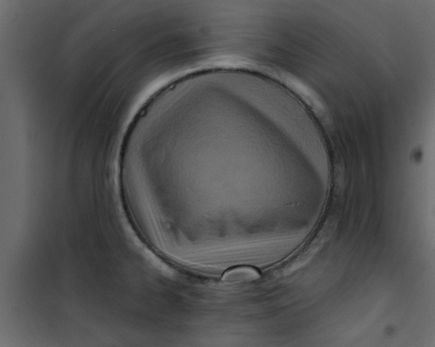 X0000101121334200807171951