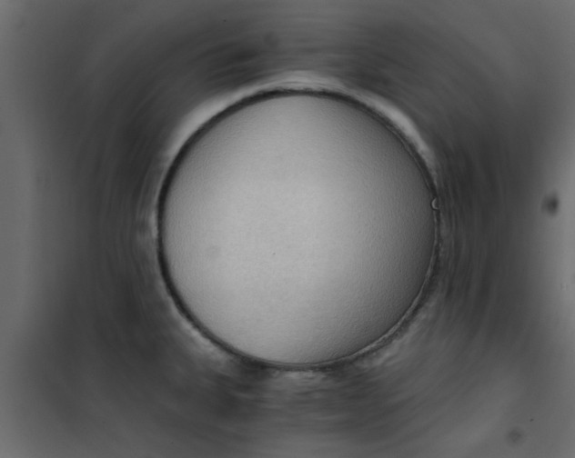 X0000101121335200807171951