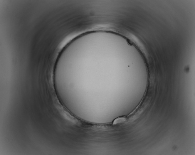 X0000101121336200807171951