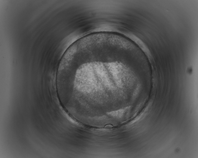 X0000101121337200807171951