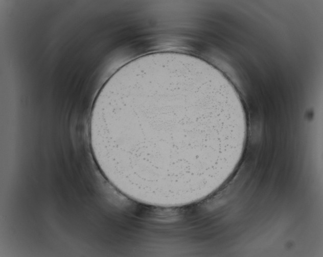 X0000101121338200807171951