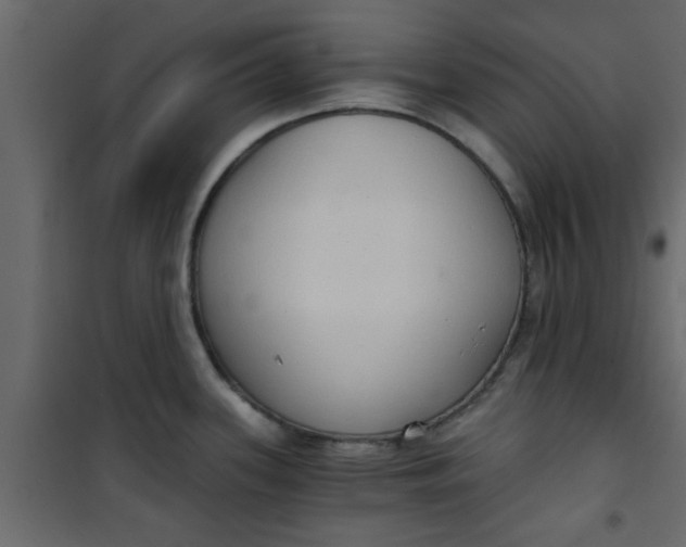 X0000101121339200807171951