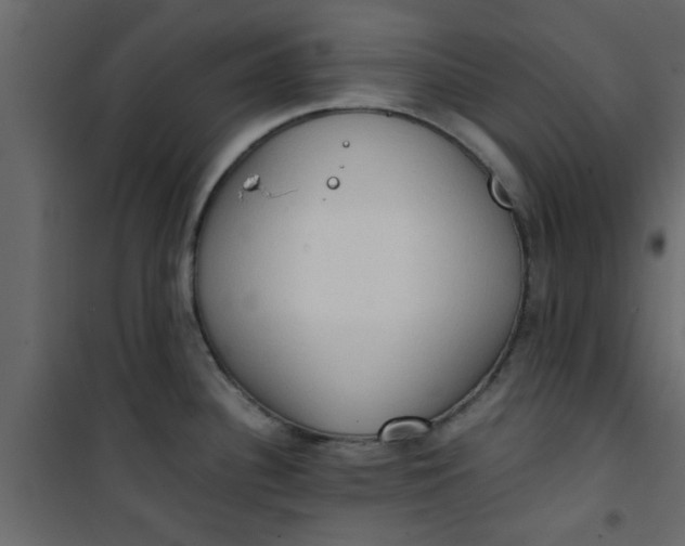X0000101121340200807171951