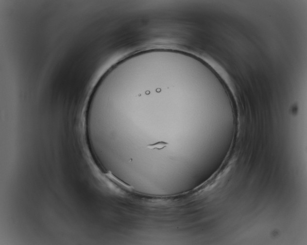 X0000101121341200807171951
