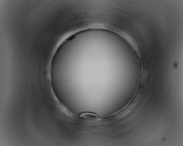 X0000101121342200807171951