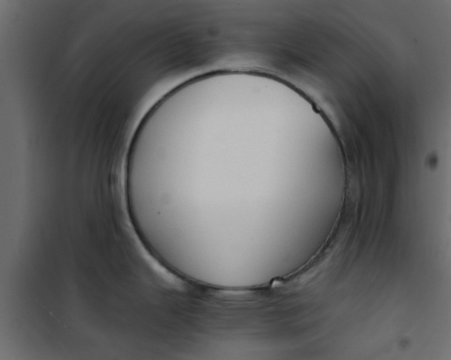 X0000101121343200807171951