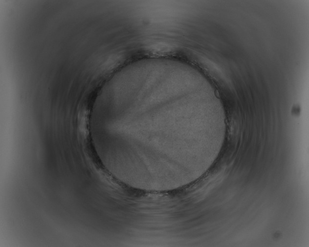 X0000101121346200807171950