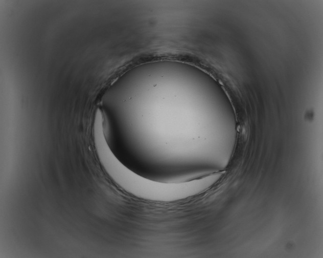 X0000101121348200807171950