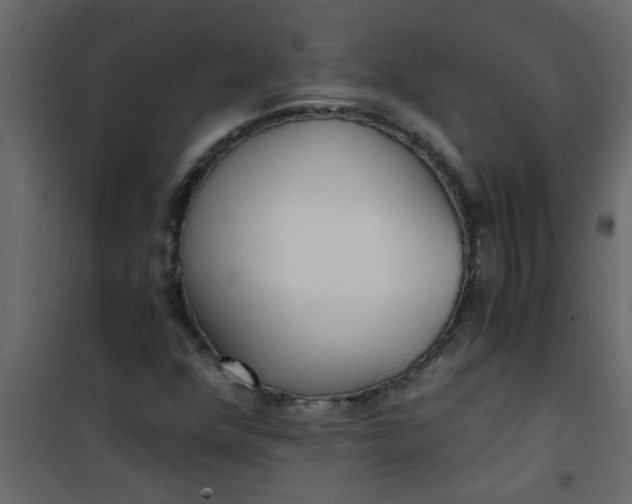 X0000101121352200807171950