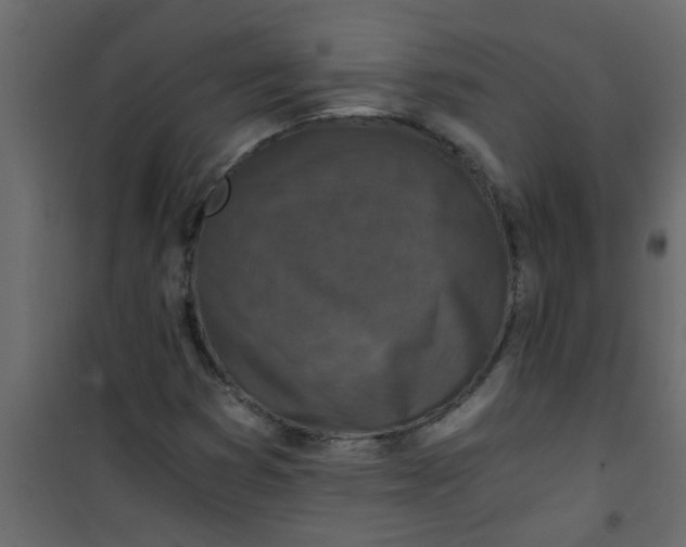 X0000101121353200807171950