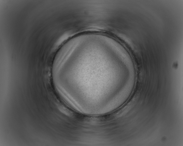 X0000101121355200807171950