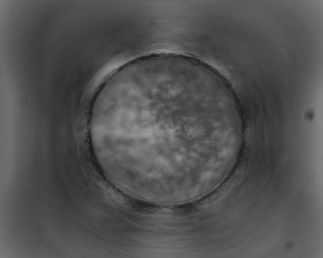 X0000101121359200807171950
