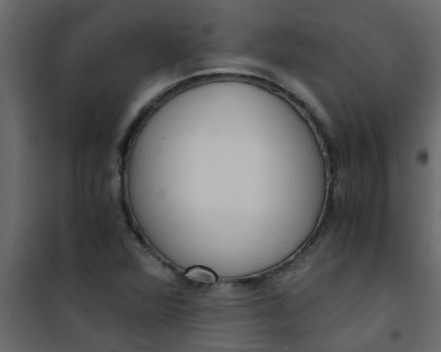 X0000101121360200807171950