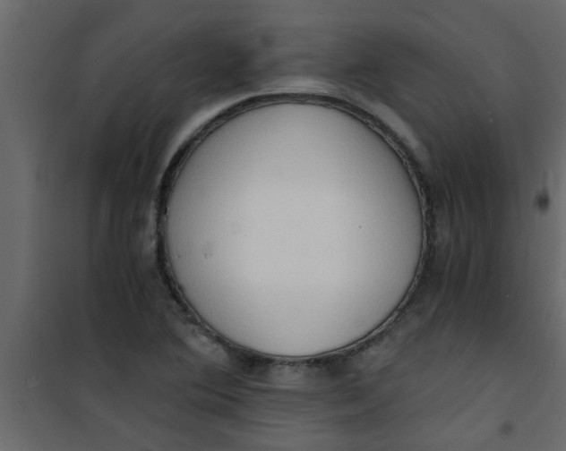 X0000101121364200807171950