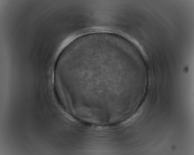 X0000101121365200807171950
