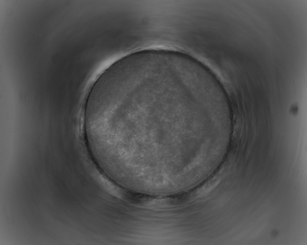 X0000101121367200807171950