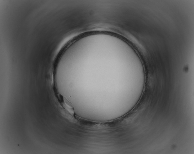 X0000101121368200807171950