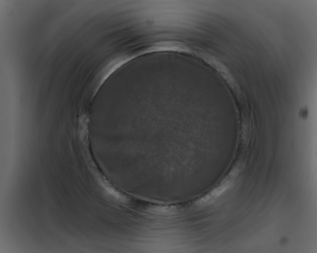 X0000101121369200807171950