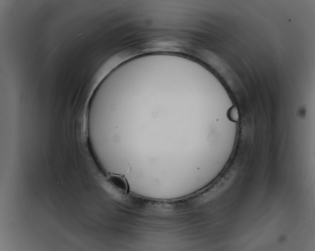 X0000101121370200807171950