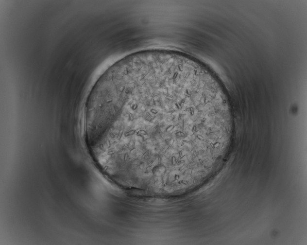 X0000101121371200807171949